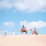 People on camels traversing desert dunes against a clear blue sky.