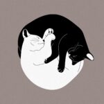 cats, yin yang, nature, animals, pet, drawing, background, balance