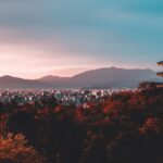 pagoda surrounded by trees